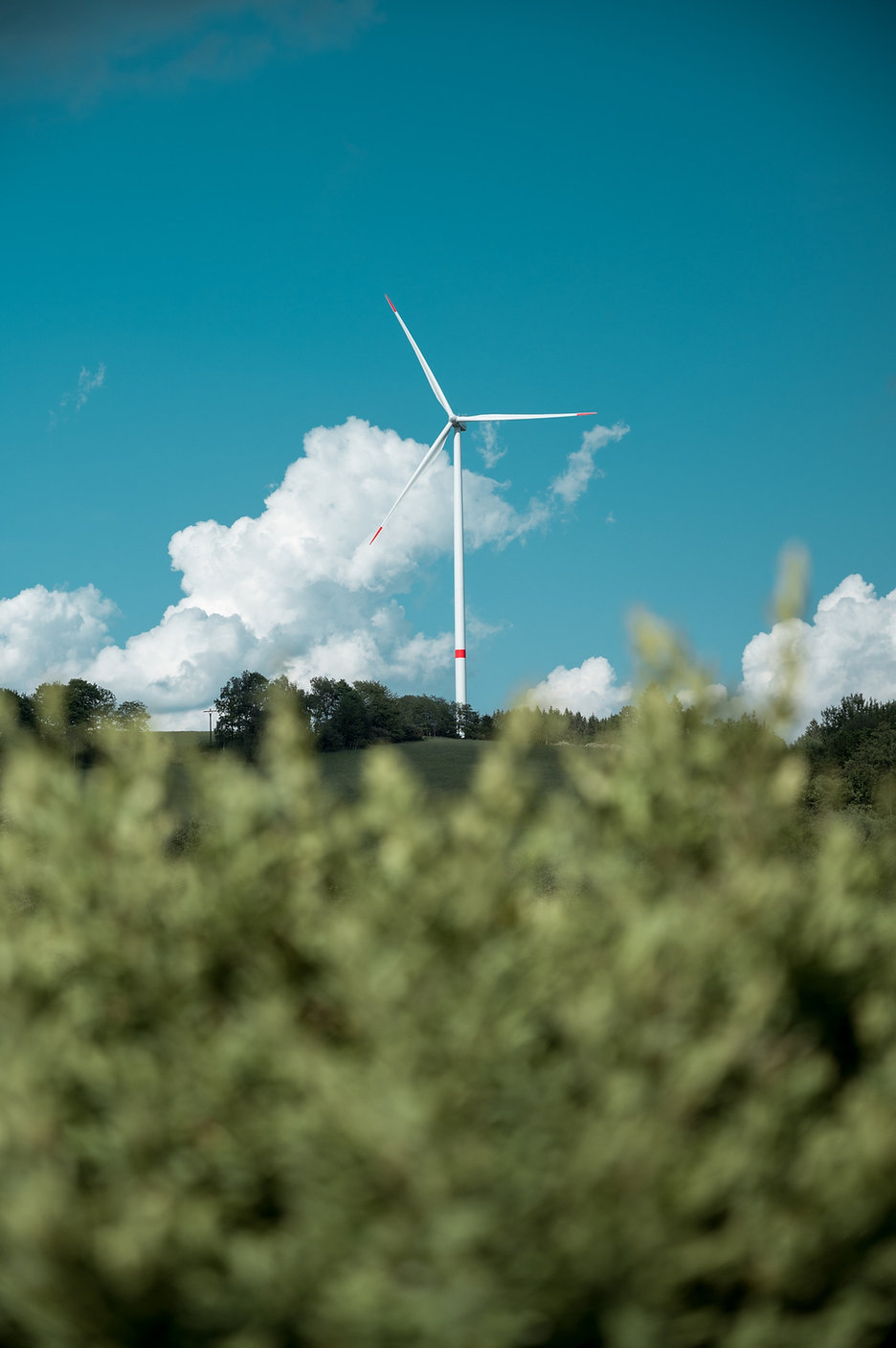 Windkraft.jpeg