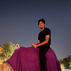 camel - Praneel Deevi_edited.png