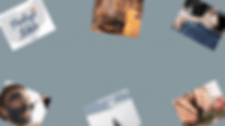 1.gif