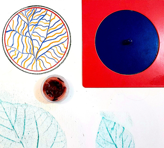 Trace Line Paint Montessori with Metal Insets Watercolour Art Workshop Maria Grujicic Stud