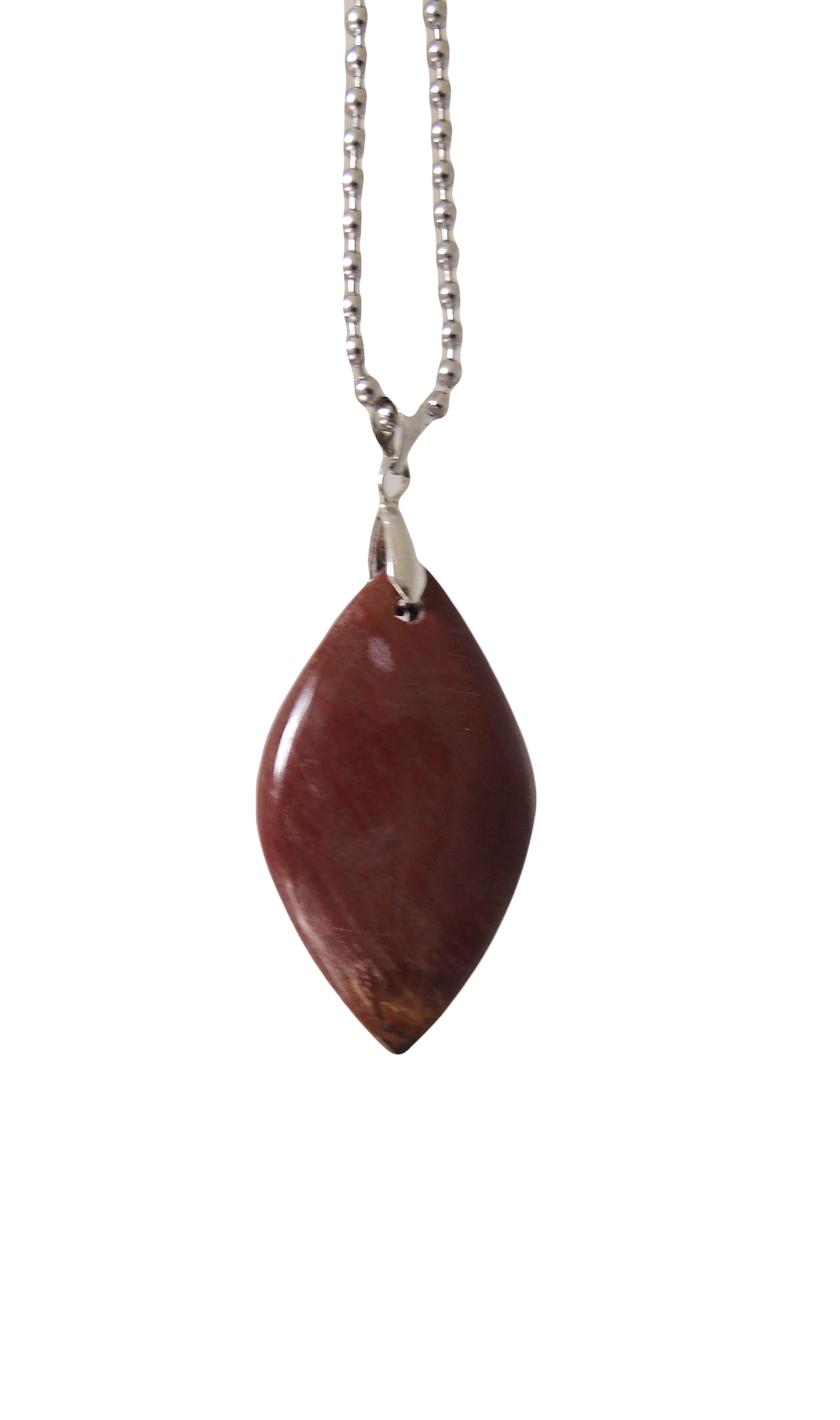 BOIS FOSSILISE-PBF0025