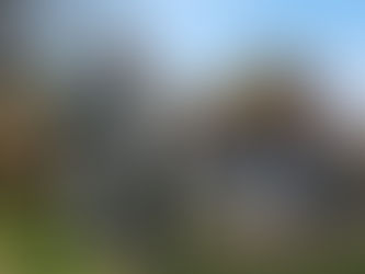 Breaking Barriers with Style: The Journey of Qaysean Williams