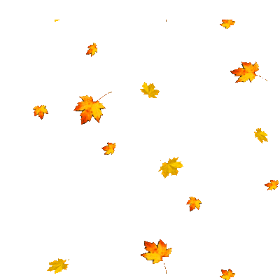 3062677.gif