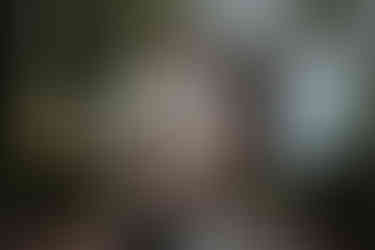 sahalie falls enagement session