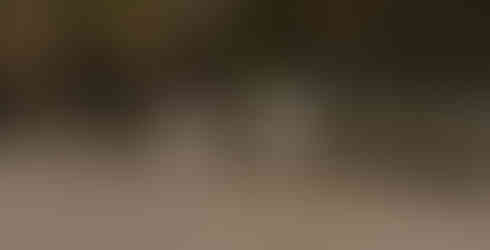 lesbian couple on the beach running towards and chasing a flock of seagulls while the wind flows