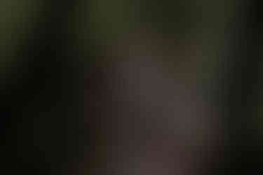 sahalie falls enagement session