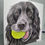 Thumbnail: 'Fetch' card