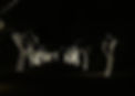 WIX2023 (1)_edited_edited_edited_edited_edited_edited.jpg