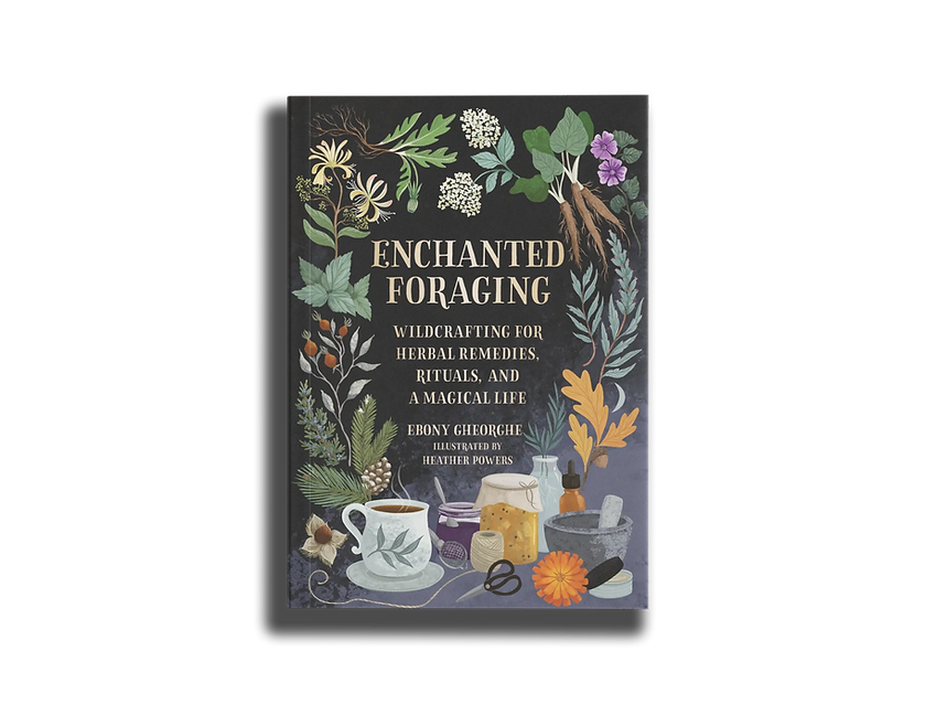 Book_Mockup_2.png
