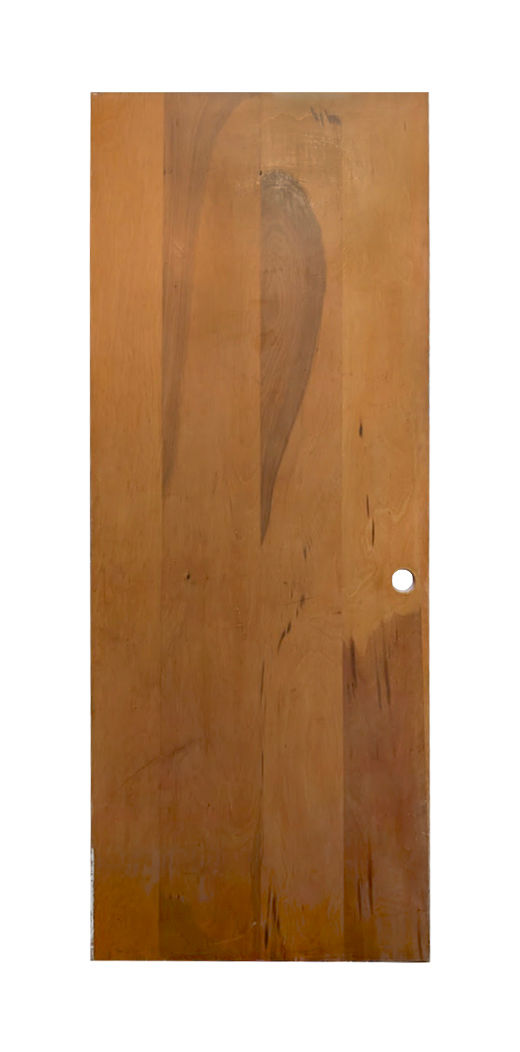 1950s Hollow-Core Interior Door – Birch Veneer D51
