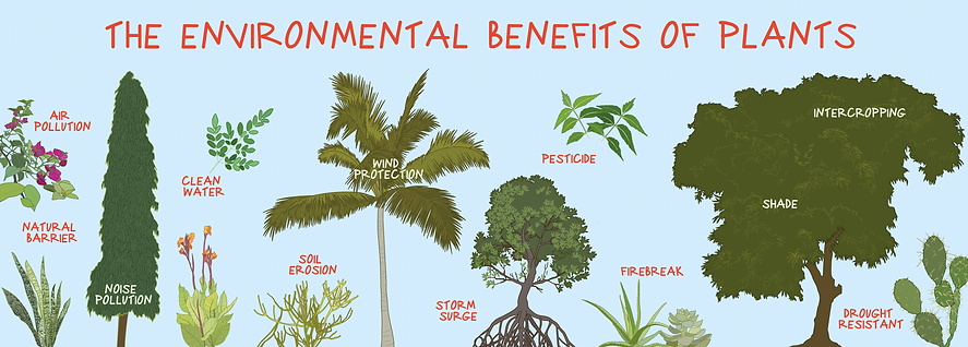 Screenshot 2022-10-12 at 7.13.26 PM.png