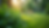 Eye-level view of a lush green garden with diverse plants