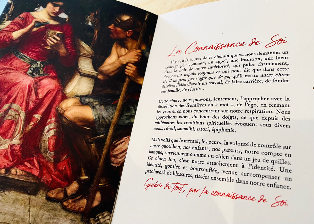 La Symphonie Du Hasard Tome 4 Sortie Sortie du Tome 4 & Boom Instagram