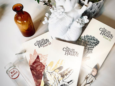 🎄Une idée de cadeau "spécial" pour Noël...