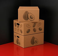 WhatsApp Image 2025-09-30 at 11.53.59 AM (1).jpeg