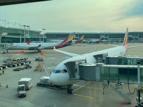 Flight Review OZ703 : Asiana Airlines, A330-300, Economy, Seoul (ICN) - Manila (MNL)