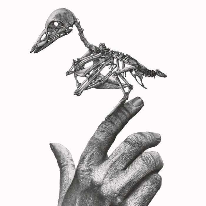 Natura umana - disegno a matita - particolare