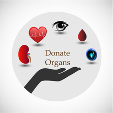 Are YOU an Organ Donor?