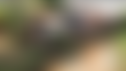 Doenças Veiculadas pela Água