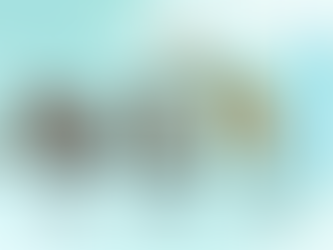 Megafauna do Brasil: O que aconteceu com os gigantes do nosso país.