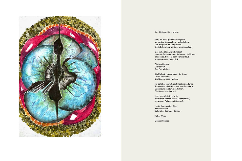 Miniaturbild: update. kunstedition. Bilder von Julia Doll.  Texte von Christian Schoppik