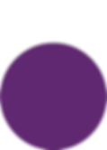 Purple circle