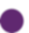 Purple circle