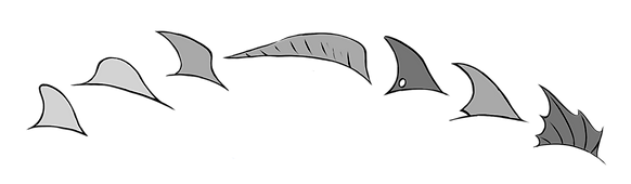13-Fins.png
