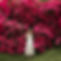 500072181_728516509689821_7366371662405670632_n.jpg