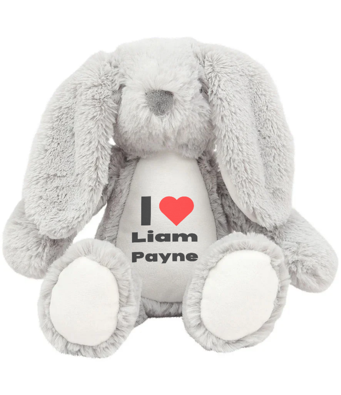 Liam Payne - Heart Teddy bear