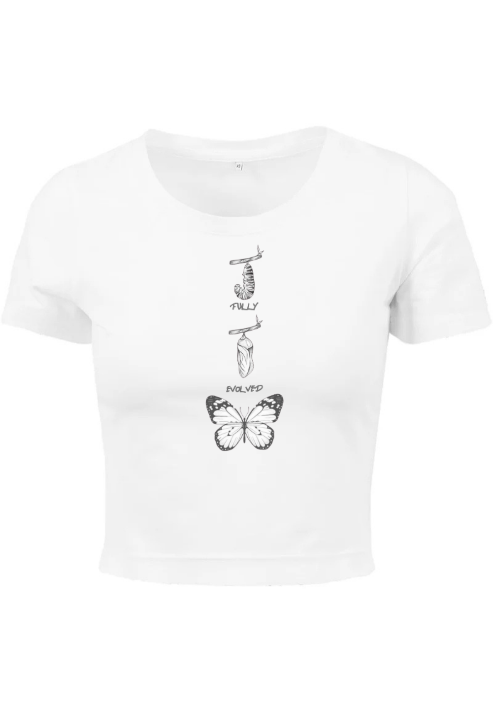 5 Seconds Of Summer - Evolve Crop Top