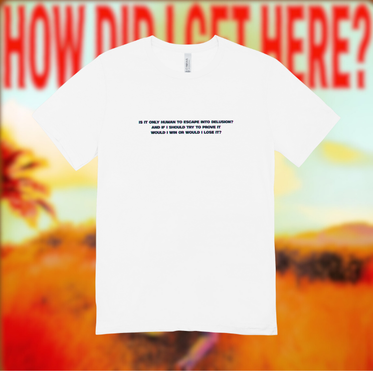 Louis Tomlinson - Lemonade Delusion Top