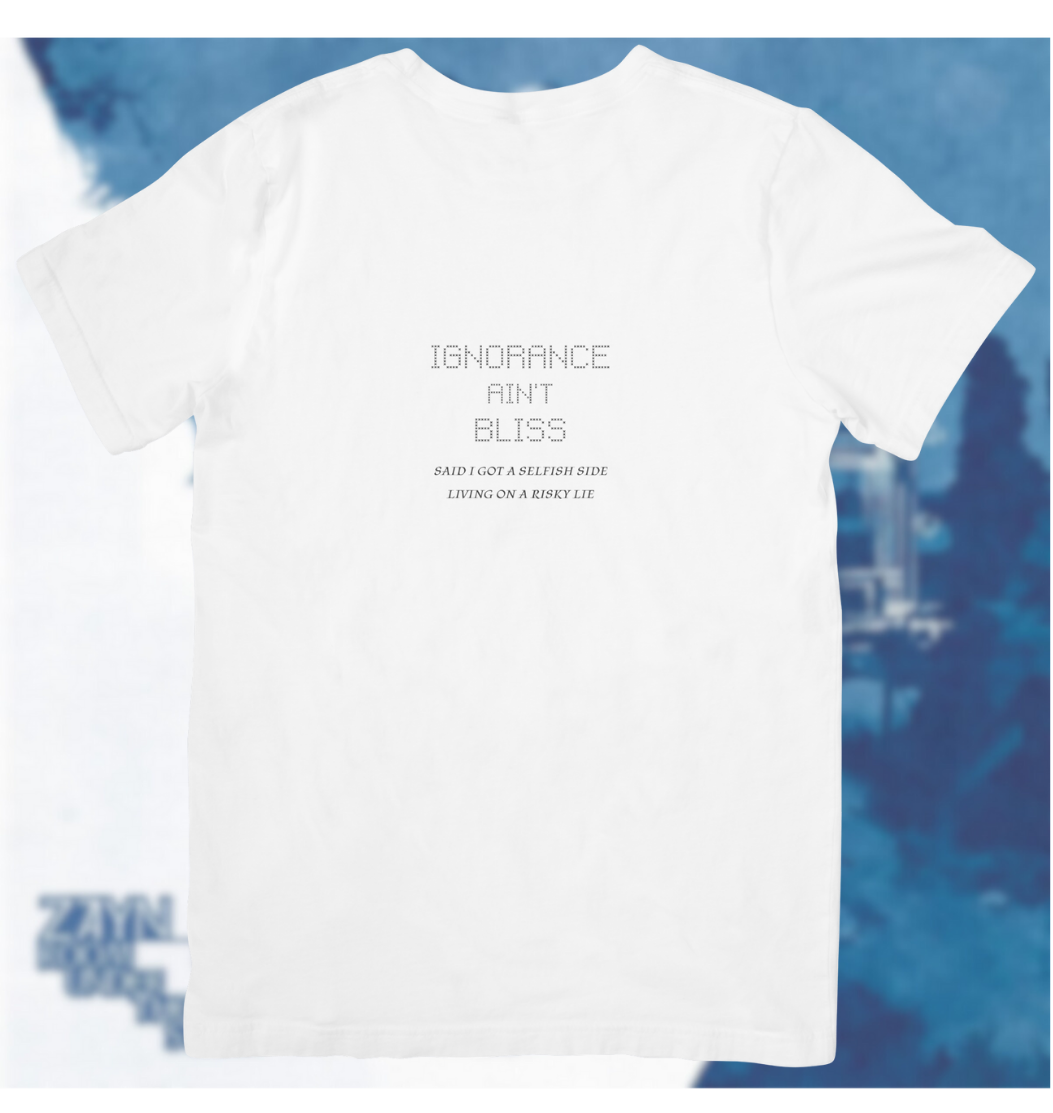 ZAYN - Ignorance ain't bliss Top