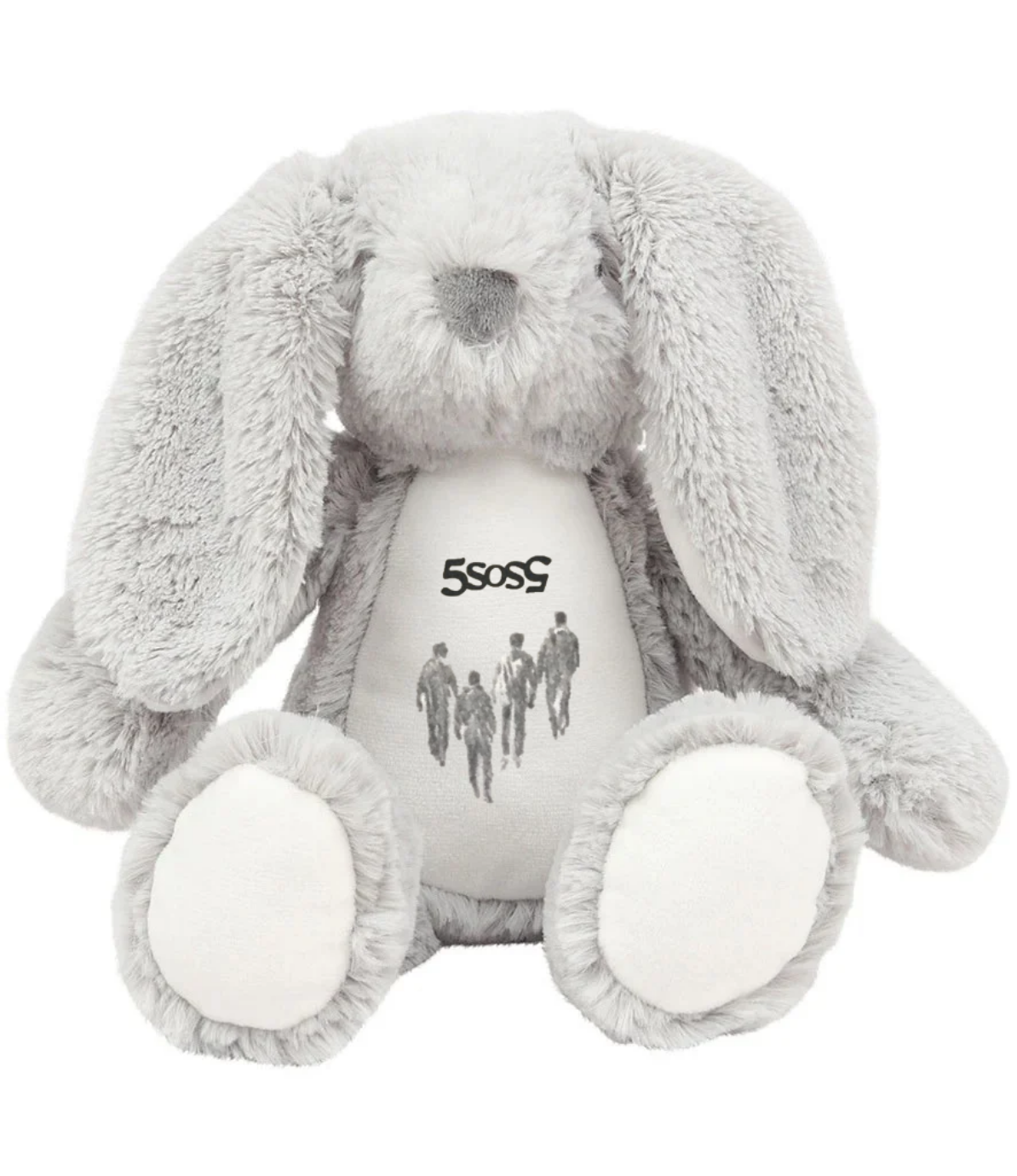 5 Seconds of Summer - 5SOS5 Teddy bear