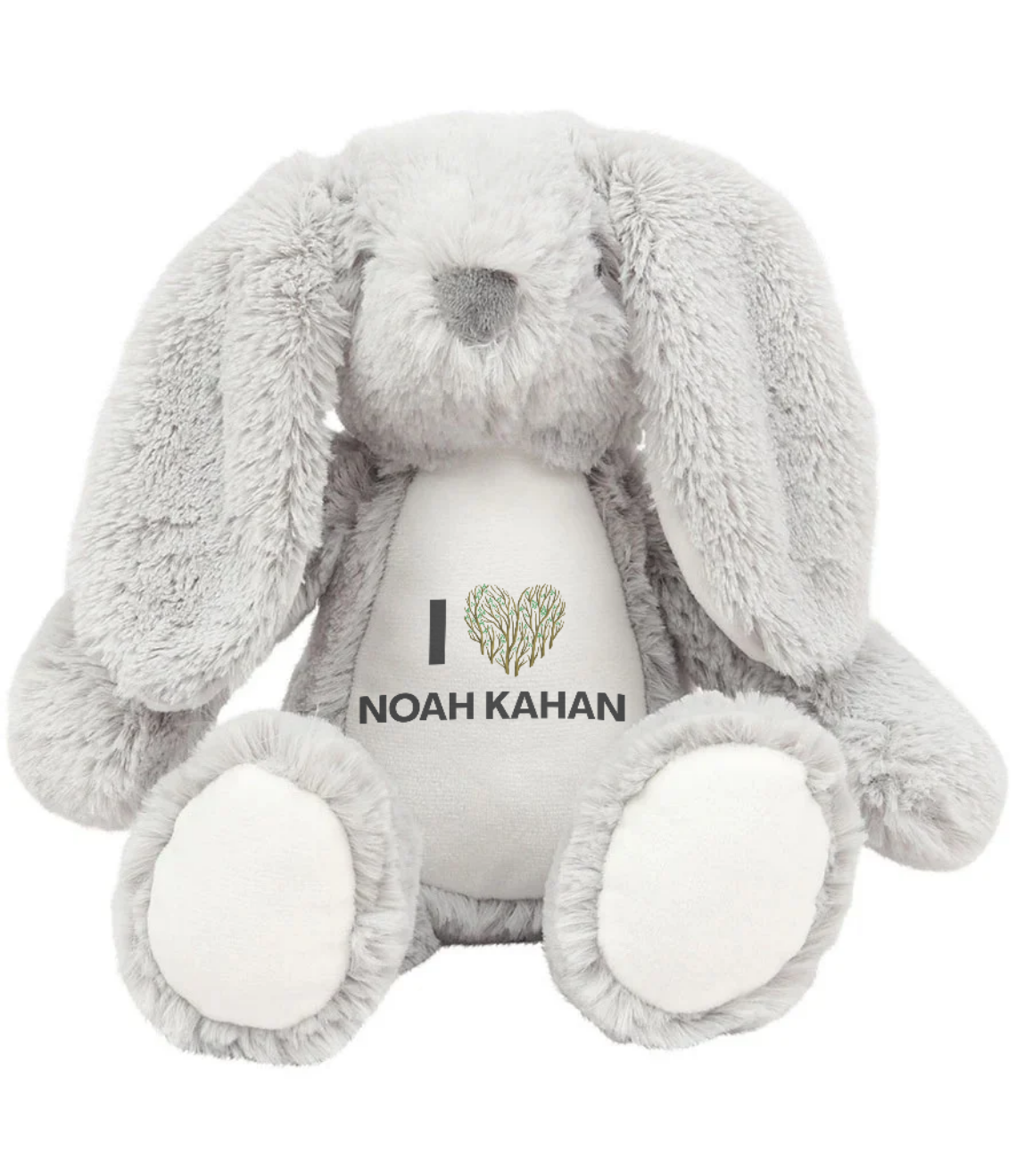 Noah Kahan - Heart Teddy bear