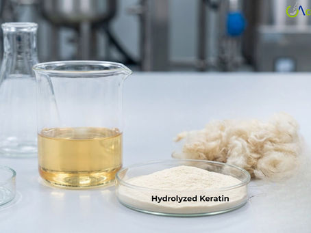 Hydroquinone Prices, Chart, Analysis, Trends, Demand, and Forecast (2025–2026)