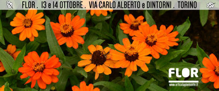 A Torino è tempo di gustare i sapori dell'autunno....