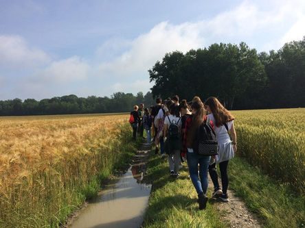 STUPIscimi: al parco naturale di Stupinigi nuove passeggiate per scoprire le bellezze culturali e g