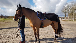 Equitation