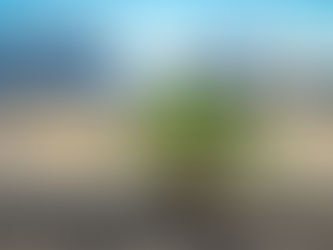 From Kerosene to Green Fuel: How AirWise Is Driving the Sustainability Transition in Business Aviation