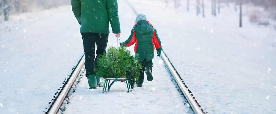 Collecting Christmas Tree