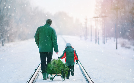 Collecting Christmas Tree