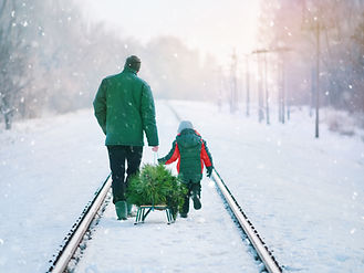 Collecting Christmas Tree