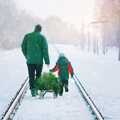 Collecting Christmas Tree