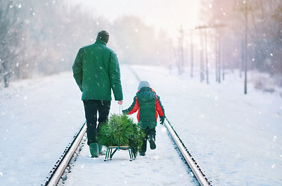 Collecting Christmas Tree