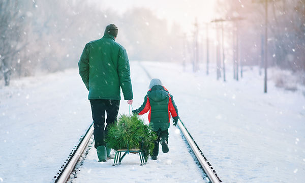 Collecting Christmas Tree