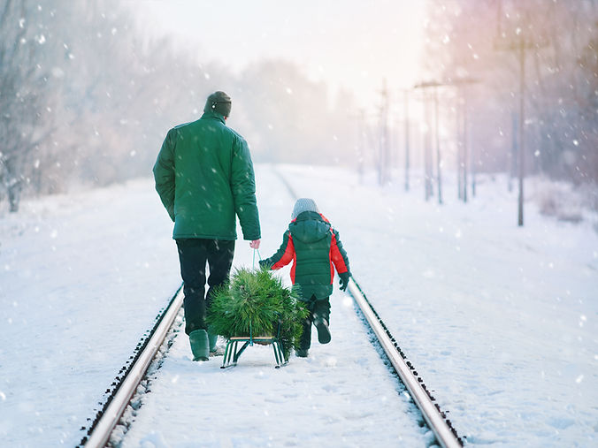 Collecting Christmas Tree