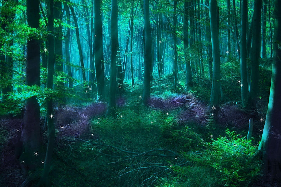 magic forest.jpg