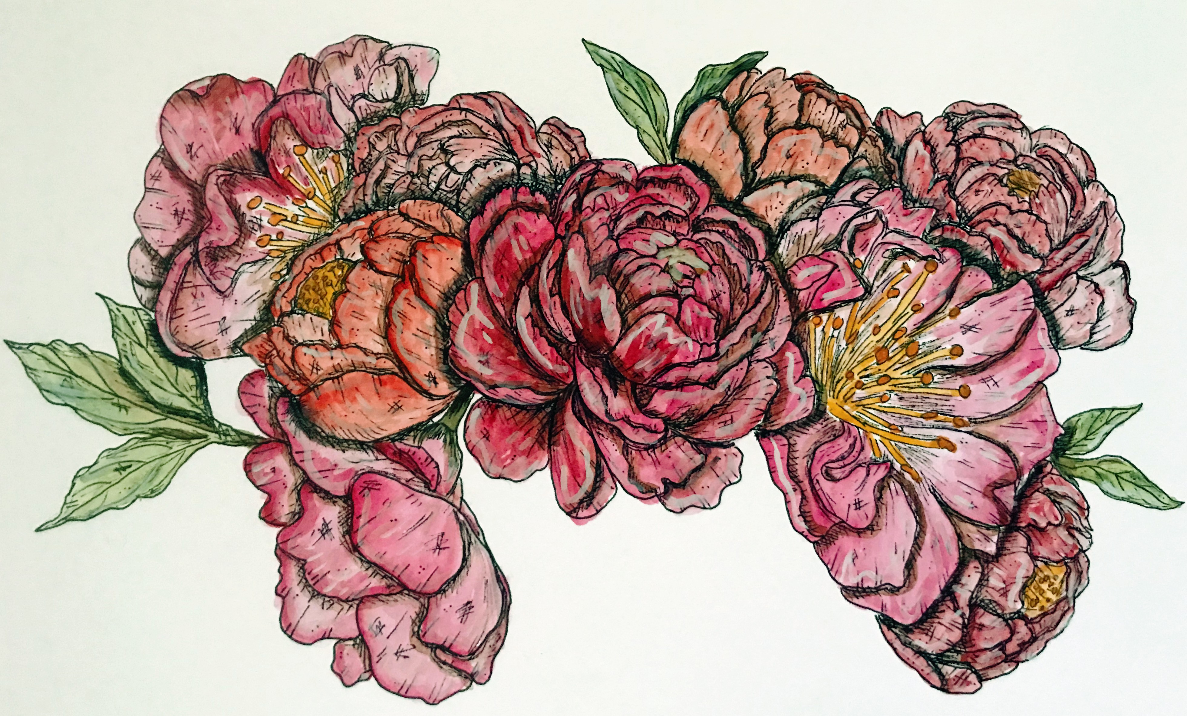 Peonies
