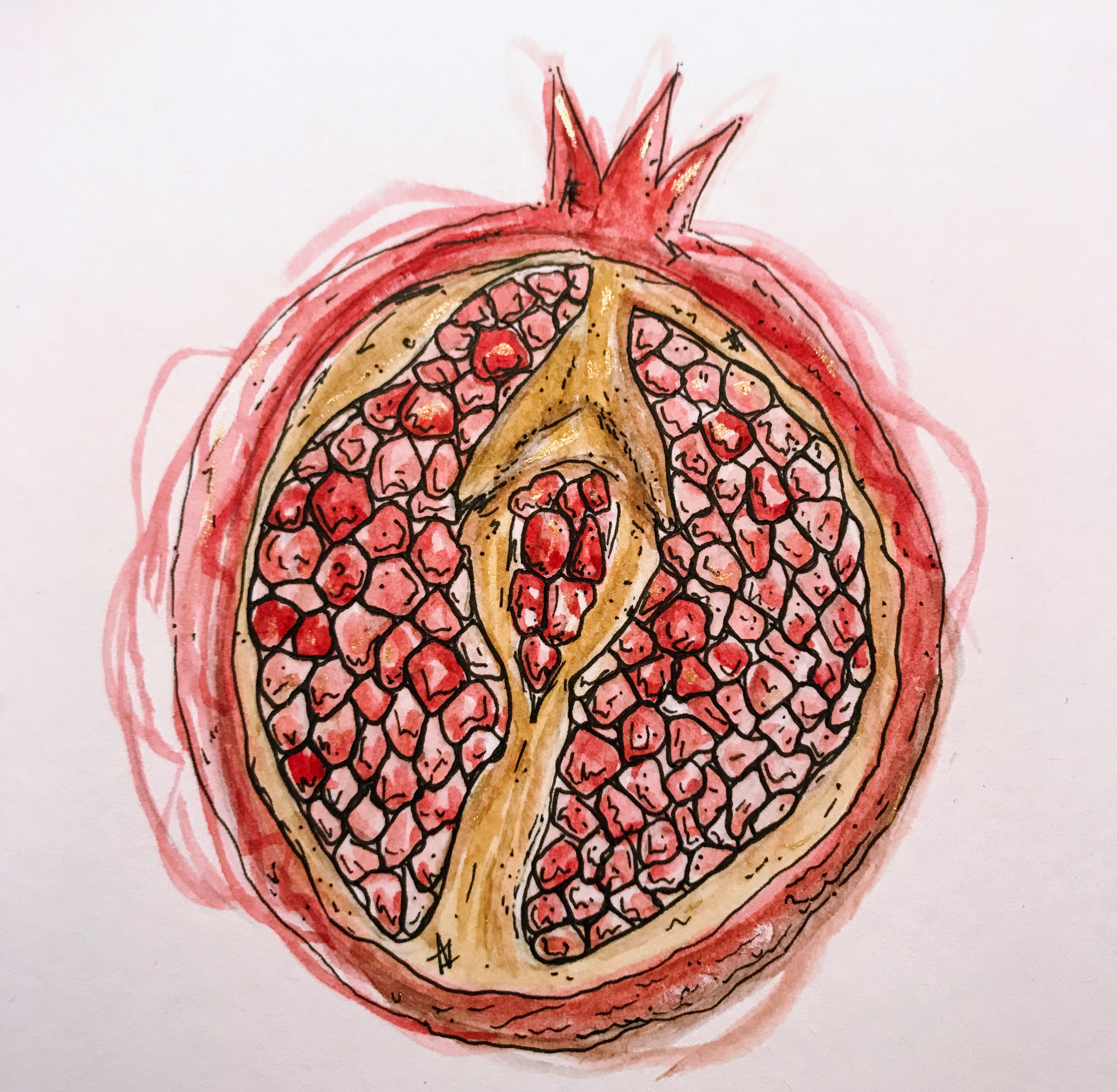 Pomegranate